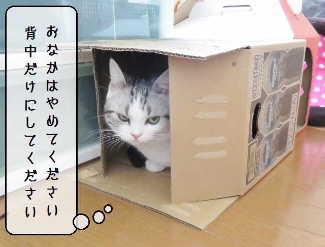 f:id:suzumesuzume:20180929160310j:plain f:id:suzumesuzume:20180929160310j:plain