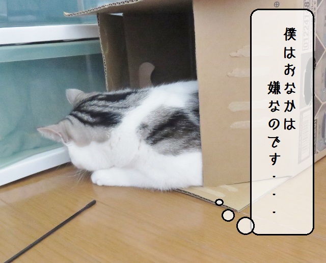 f:id:suzumesuzume:20180929160407j:plain f:id:suzumesuzume:20180929160407j:plain