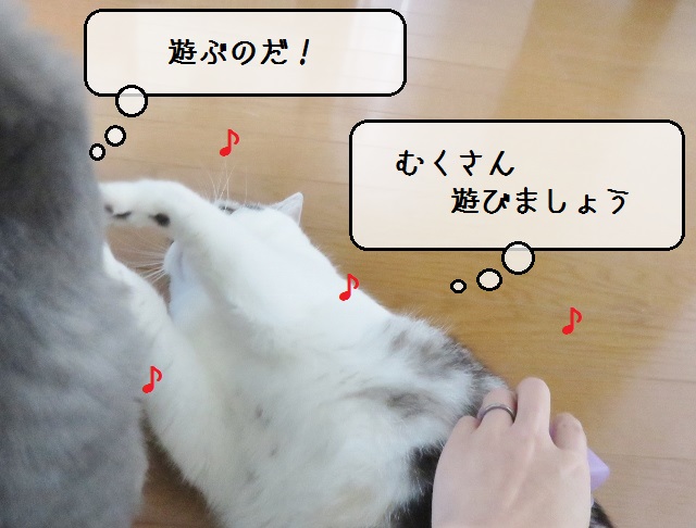 f:id:suzumesuzume:20180929160421j:plain f:id:suzumesuzume:20180929160421j:plain