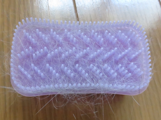 f:id:suzumesuzume:20180929160449j:plain f:id:suzumesuzume:20180929160449j:plain