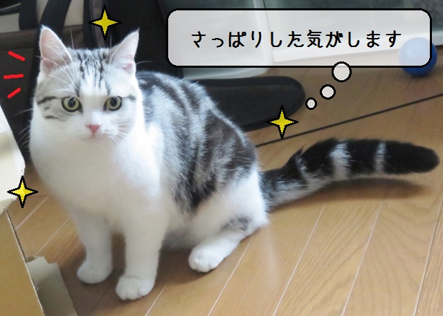 f:id:suzumesuzume:20180929160516j:plain f:id:suzumesuzume:20180929160516j:plain