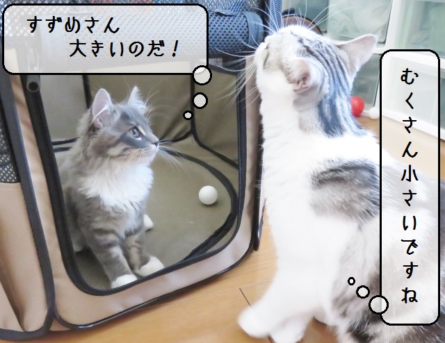 f:id:suzumesuzume:20181004204306j:plain