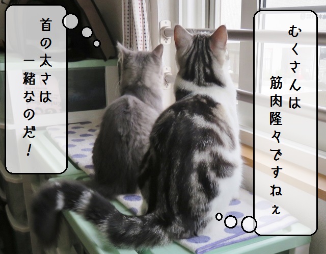 f:id:suzumesuzume:20181004204342j:plain