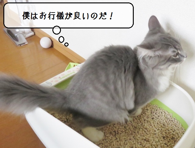 f:id:suzumesuzume:20181030161414j:plain