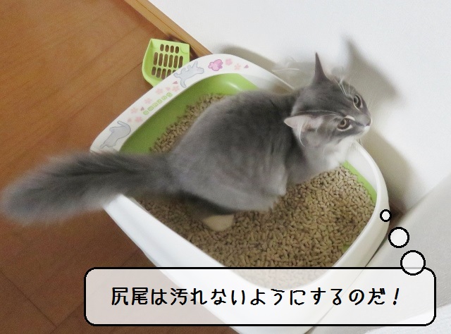 f:id:suzumesuzume:20181030161450j:plain