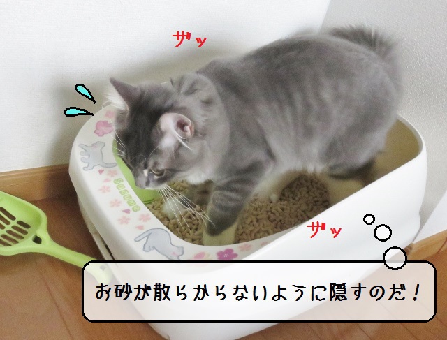 f:id:suzumesuzume:20181030161503j:plain