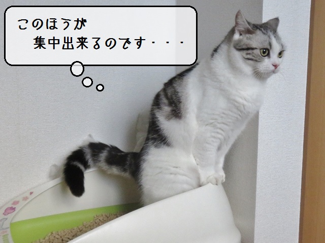 f:id:suzumesuzume:20181030161537j:plain