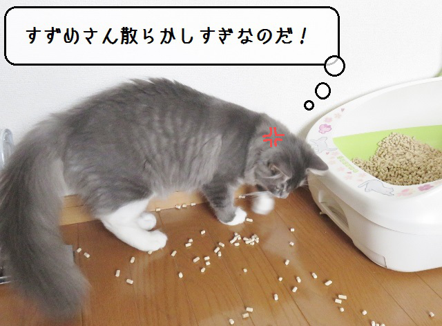 f:id:suzumesuzume:20181030161628j:plain