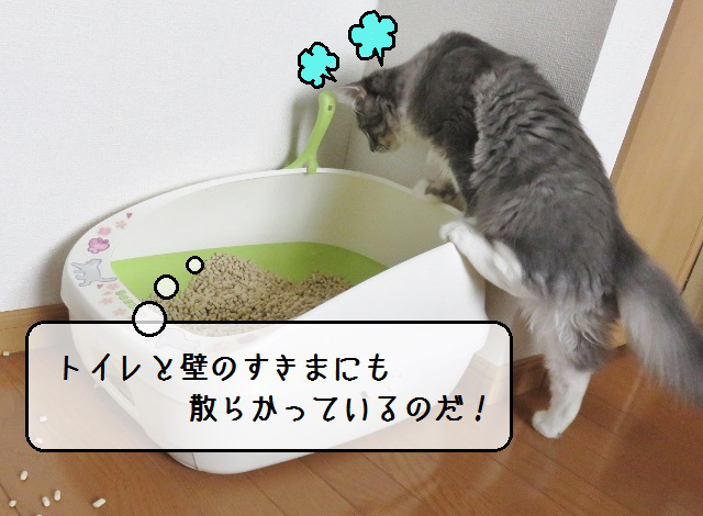 f:id:suzumesuzume:20181030161640j:plain