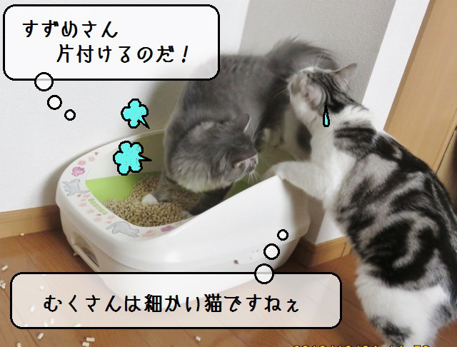 f:id:suzumesuzume:20181030161657j:plain