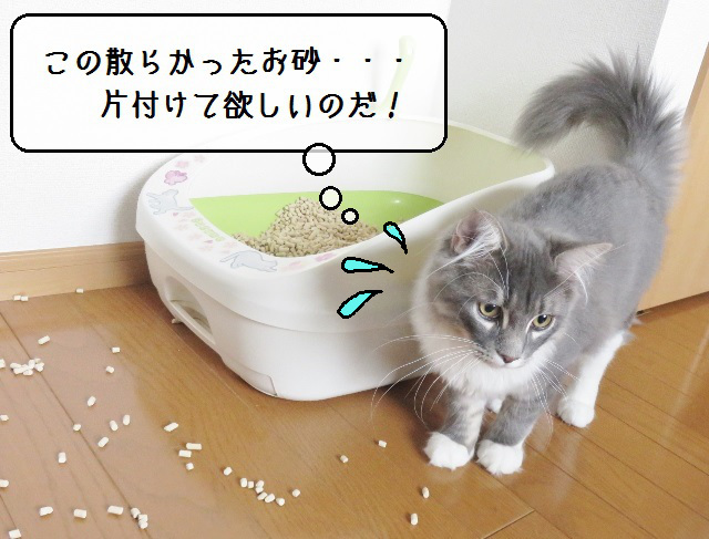 f:id:suzumesuzume:20181030161710j:plain