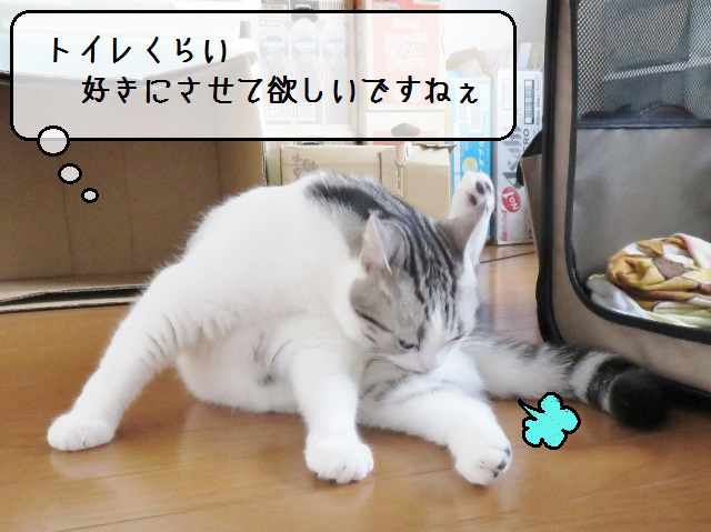 f:id:suzumesuzume:20181030161732j:plain