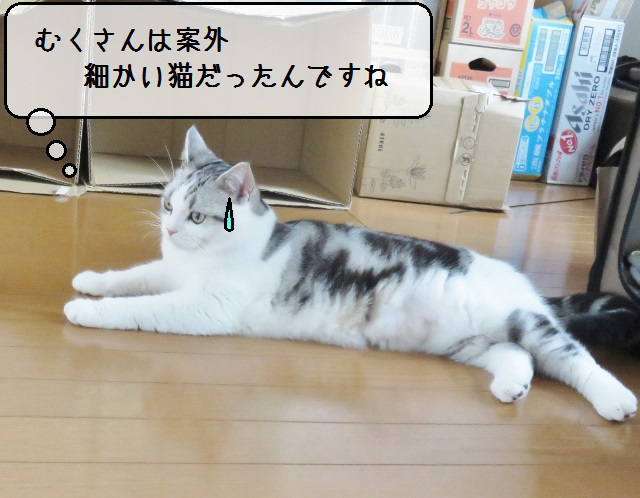 f:id:suzumesuzume:20181030161745j:plain