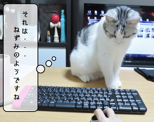 f:id:suzumesuzume:20181114145423j:plain