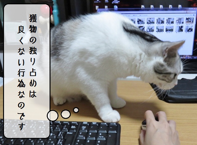 f:id:suzumesuzume:20181114145433j:plain