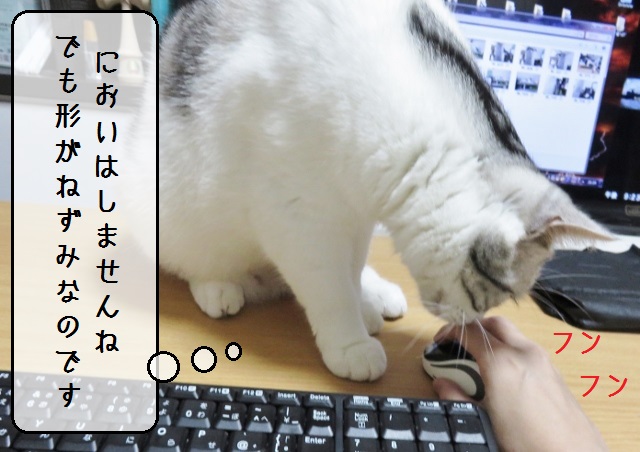 f:id:suzumesuzume:20181114145445j:plain