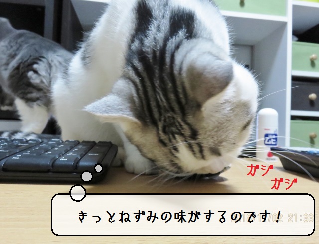 f:id:suzumesuzume:20181114145459j:plain
