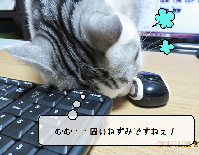 f:id:suzumesuzume:20181114145520j:plain