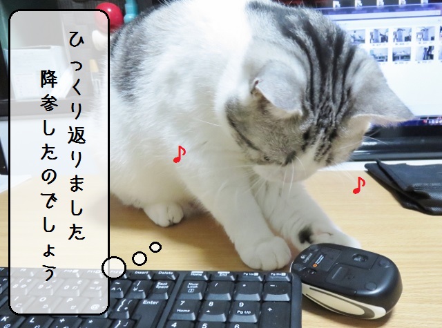 f:id:suzumesuzume:20181114145530j:plain