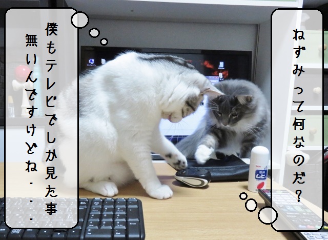 f:id:suzumesuzume:20181114145603j:plain