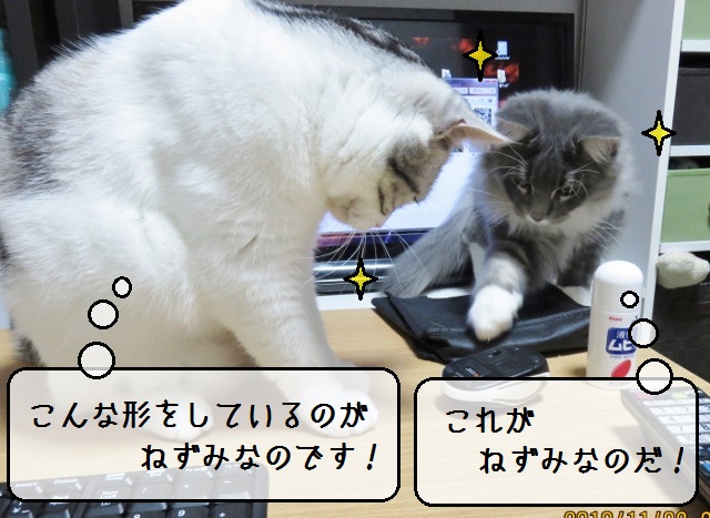 f:id:suzumesuzume:20181114145616j:plain