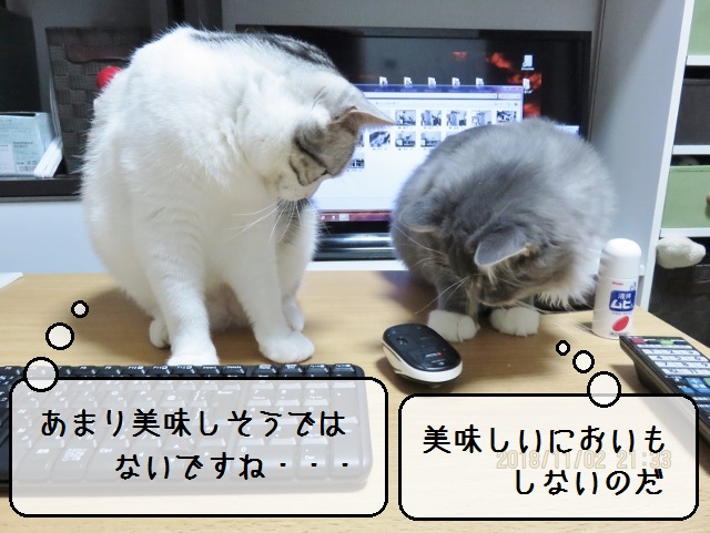 f:id:suzumesuzume:20181114145633j:plain