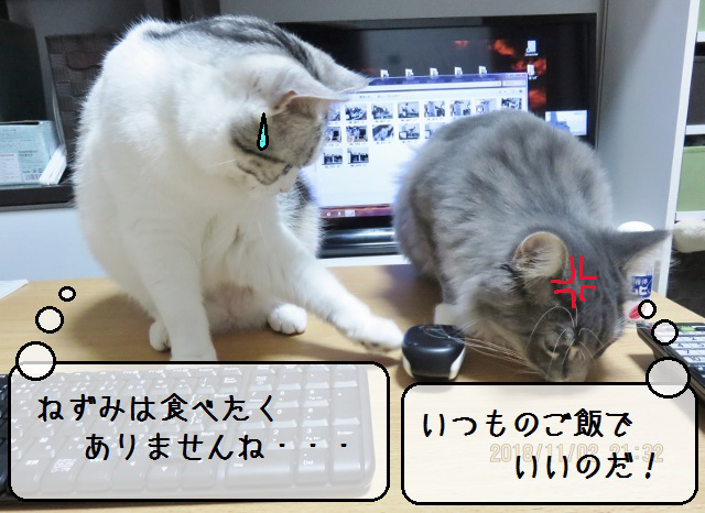 f:id:suzumesuzume:20181114145643j:plain