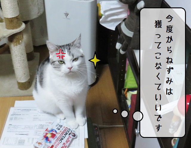 f:id:suzumesuzume:20181114145653j:plain