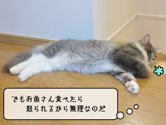 f:id:suzumesuzume:20181127151518j:plain