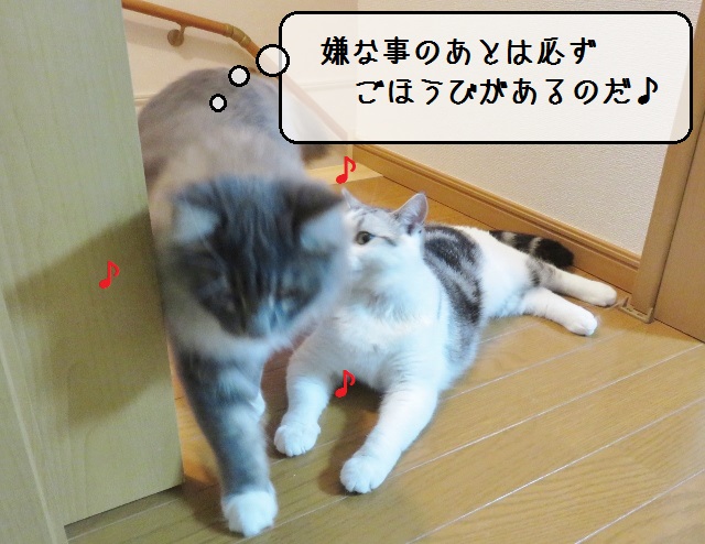 f:id:suzumesuzume:20181213130046j:plain