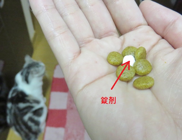 f:id:suzumesuzume:20181220152605j:plain