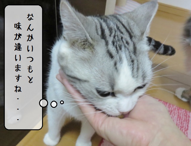 f:id:suzumesuzume:20181220152615j:plain