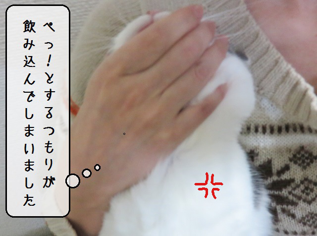 f:id:suzumesuzume:20181220152649j:plain