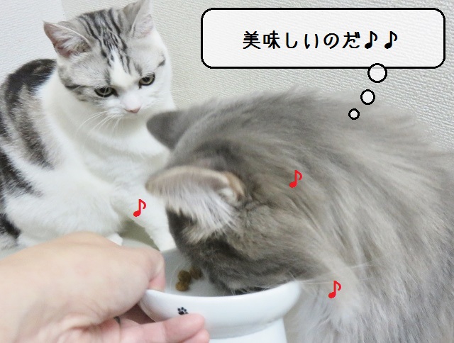 f:id:suzumesuzume:20181220152744j:plain
