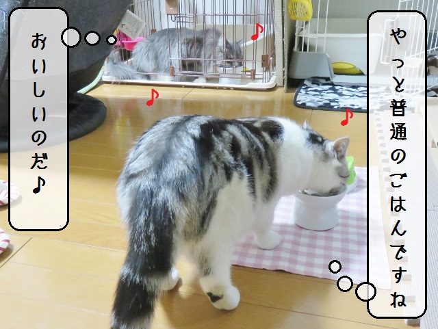 f:id:suzumesuzume:20181220152817j:plain
