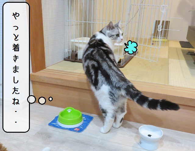 f:id:suzumesuzume:20190111195048j:plain f:id:suzumesuzume:20190111195048j:plain