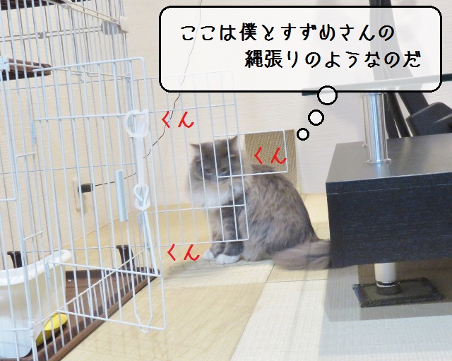 f:id:suzumesuzume:20190117153627j:plain f:id:suzumesuzume:20190117153627j:plain