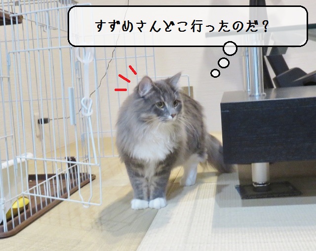 f:id:suzumesuzume:20190117153637j:plain f:id:suzumesuzume:20190117153637j:plain