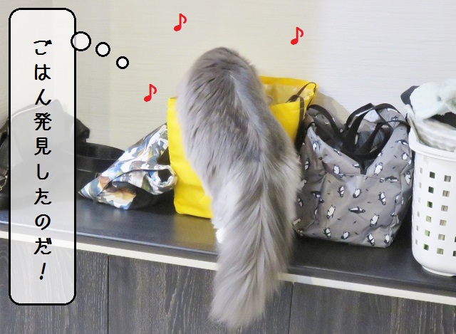 f:id:suzumesuzume:20190117153653j:plain f:id:suzumesuzume:20190117153653j:plain