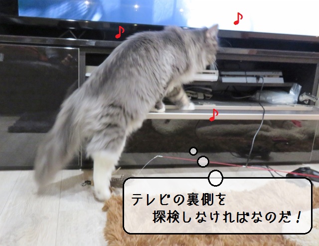 f:id:suzumesuzume:20190117153736j:plain f:id:suzumesuzume:20190117153736j:plain