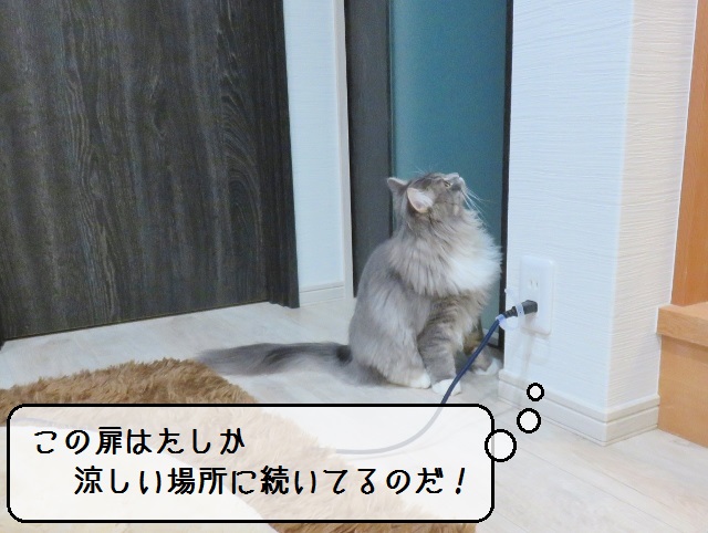 f:id:suzumesuzume:20190117153751j:plain f:id:suzumesuzume:20190117153751j:plain