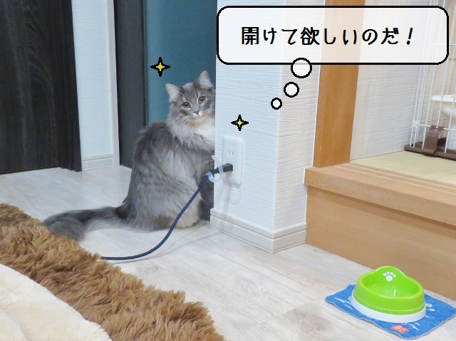 f:id:suzumesuzume:20190117153802j:plain f:id:suzumesuzume:20190117153802j:plain