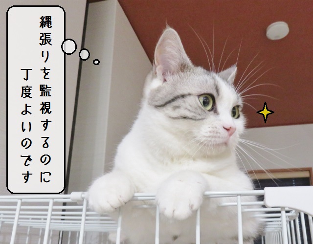 f:id:suzumesuzume:20190118202132j:plain f:id:suzumesuzume:20190118202132j:plain