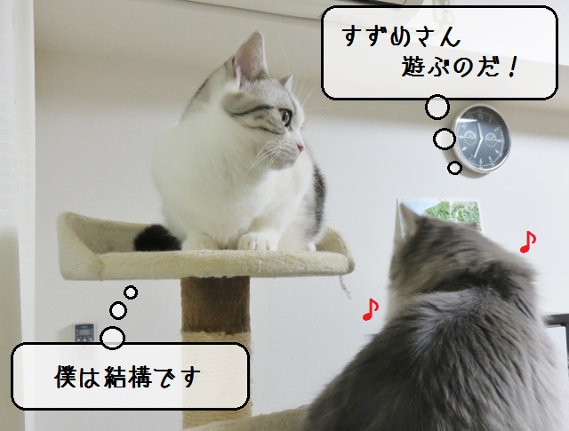 f:id:suzumesuzume:20190124150219j:plain