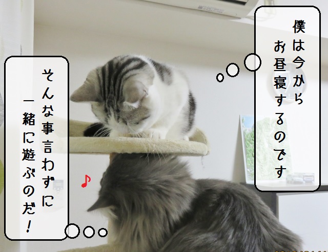 f:id:suzumesuzume:20190124150225j:plain