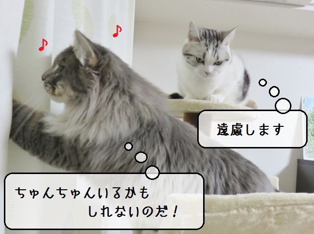 f:id:suzumesuzume:20190124150229j:plain