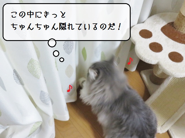 f:id:suzumesuzume:20190124150243j:plain