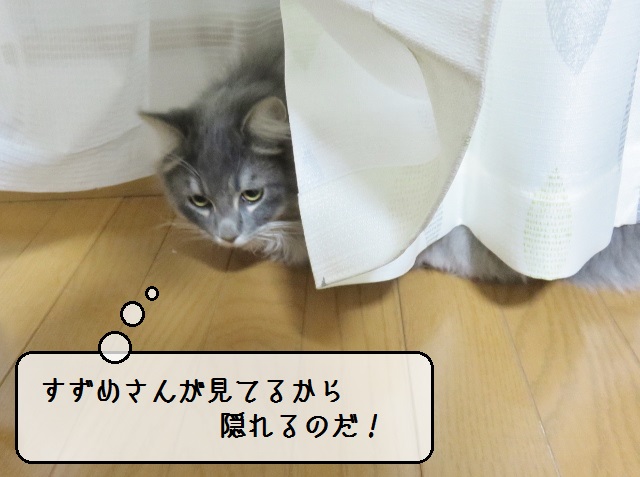 f:id:suzumesuzume:20190124150253j:plain