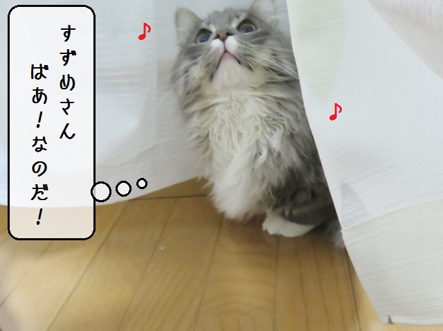 f:id:suzumesuzume:20190124150258j:plain