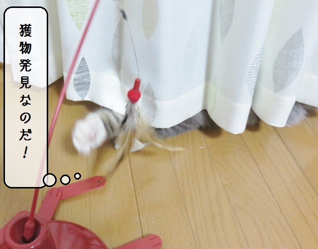 f:id:suzumesuzume:20190124150309j:plain